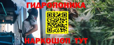 spice Краснознаменск
