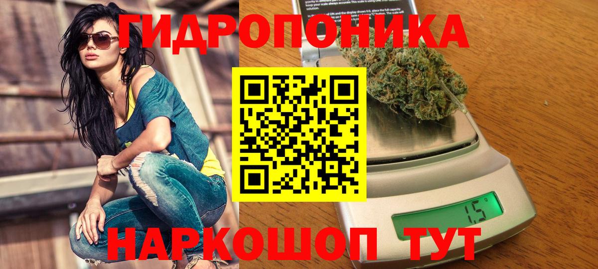 Шишки марихуана Ganja Качканар